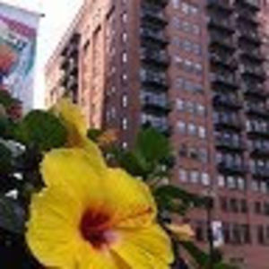 Meet your Posher, Kat